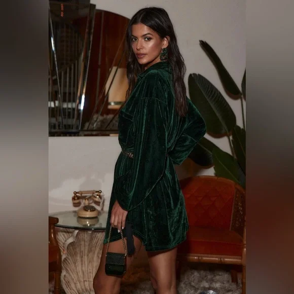 nwt velvet mini dress - Picture 2 of 2